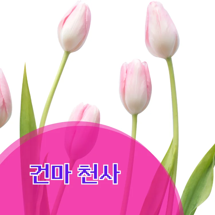 서울 출장마사지 지역 안내 대표 이미지