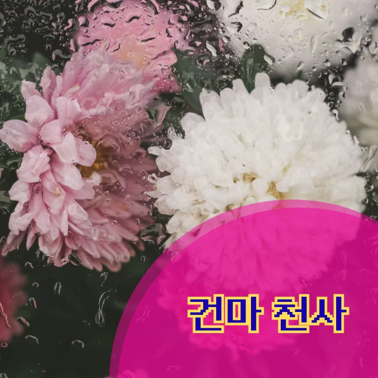 방이1동 출장마사지 지역 안내 대표 이미지