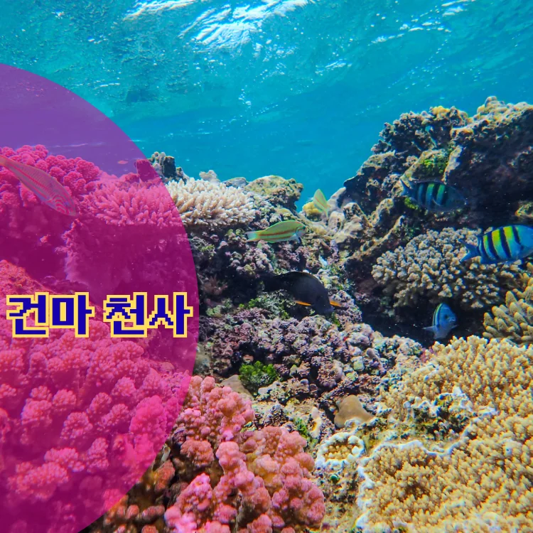 공릉1동 출장마사지 지역 안내 대표 이미지