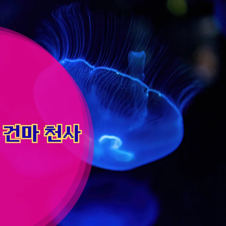 창4동 출장마사지 지역 안내 대표 이미지