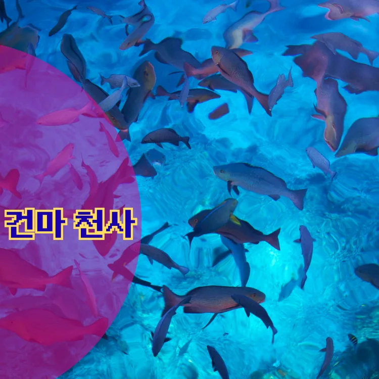 노원구 출장마사지 동별 안내 대표 이미지
