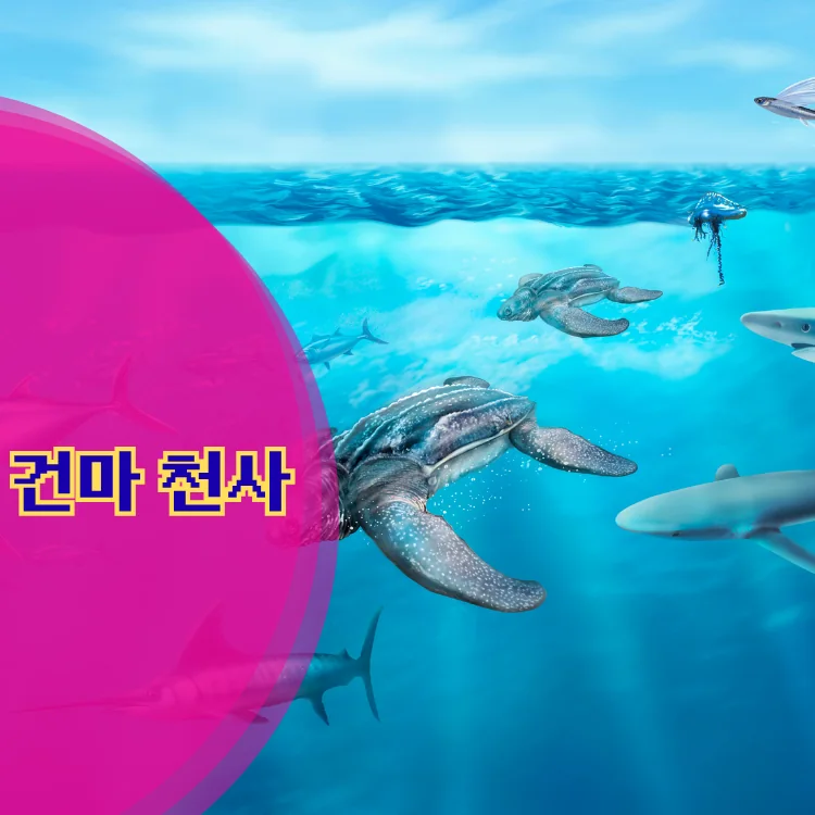 도봉2동 출장마사지 지역 안내 대표 이미지