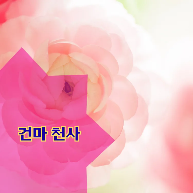 동대문구 출장마사지 동별 안내 대표 이미지