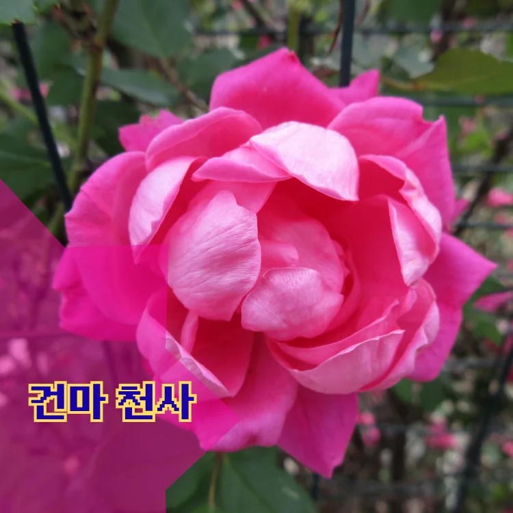 시흥5동 출장마사지 지역 안내 대표 이미지