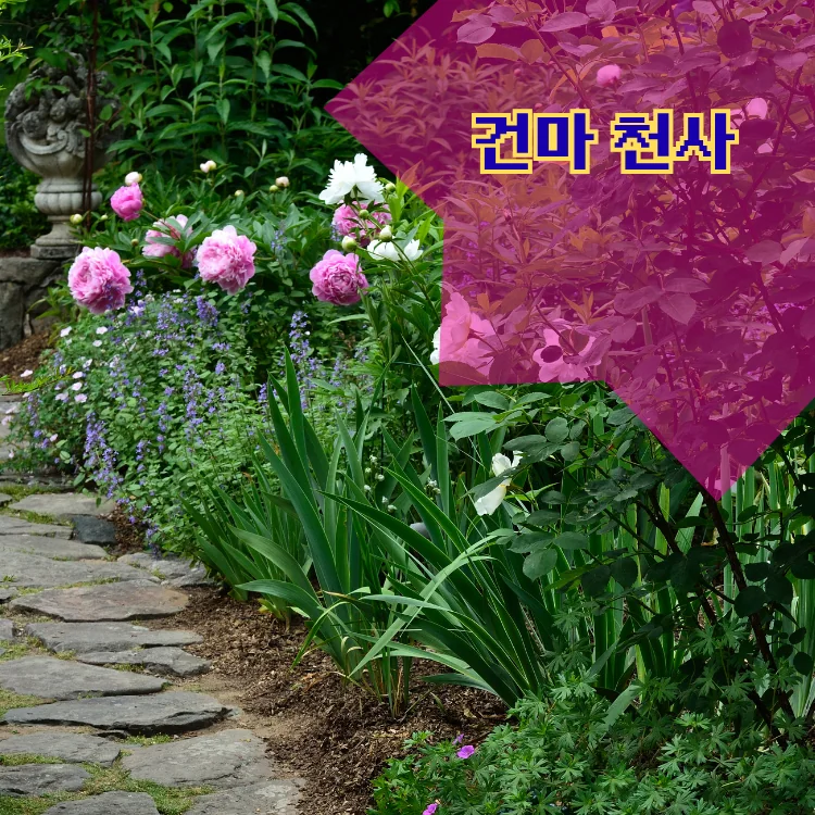 상계9동 출장마사지 지역 안내 대표 이미지