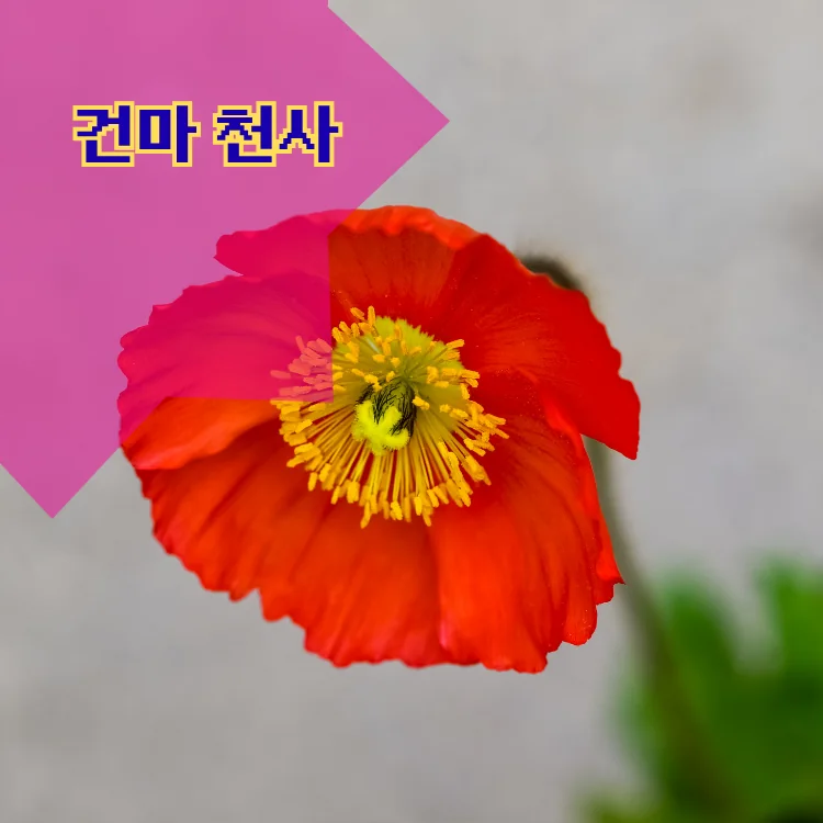 가리봉동 출장마사지 지역 안내 대표 이미지