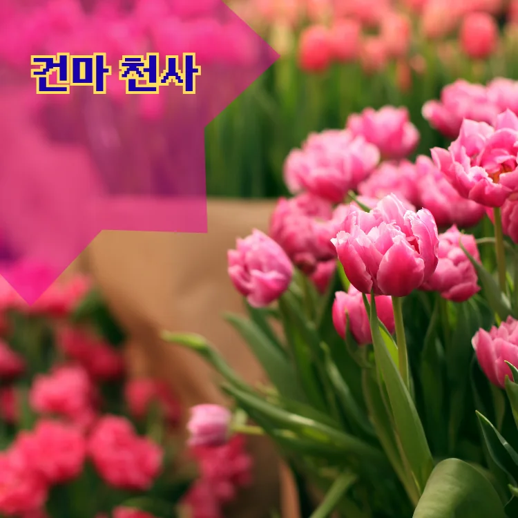 방배1동 출장마사지 지역 안내 대표 이미지