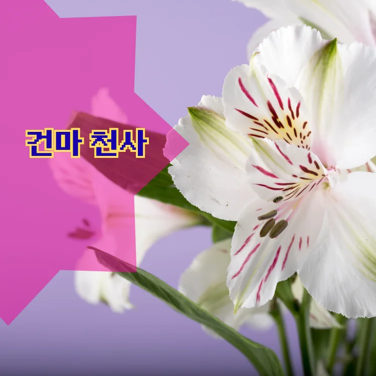 대방동 출장마사지 지역 안내 대표 이미지