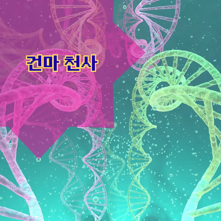 반포4동 출장마사지 지역 안내 대표 이미지