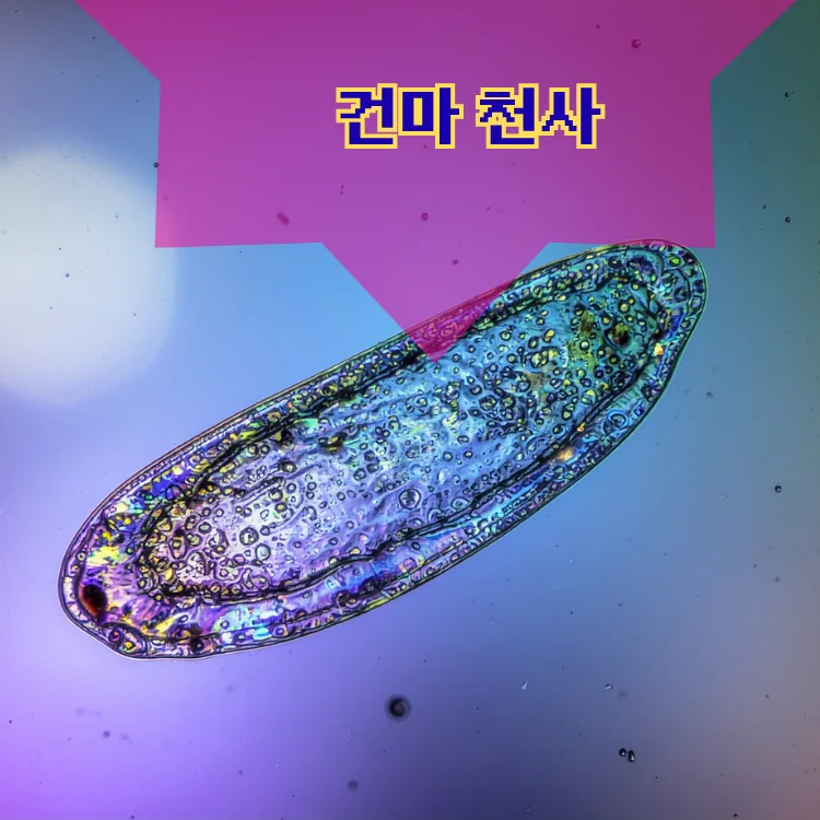 목2동 출장마사지 지역 안내 대표 이미지