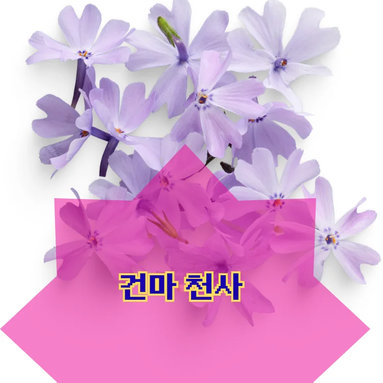 서초1동 출장마사지 지역 안내 대표 이미지