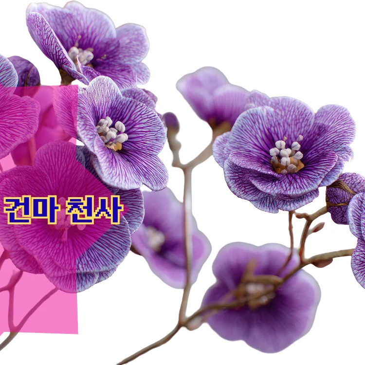 상도1동 출장마사지 지역 안내 대표 이미지