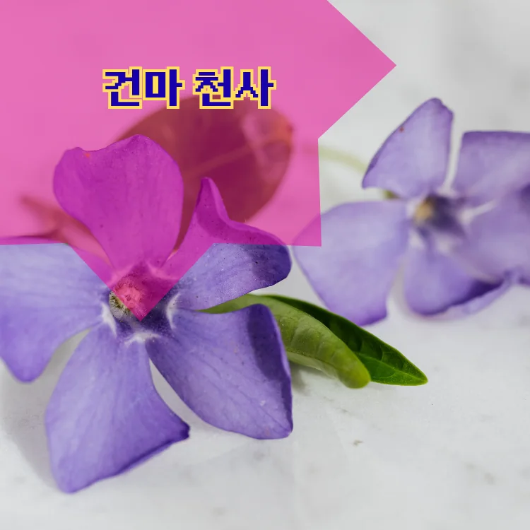 갈현2동 출장마사지 지역 안내 대표 이미지