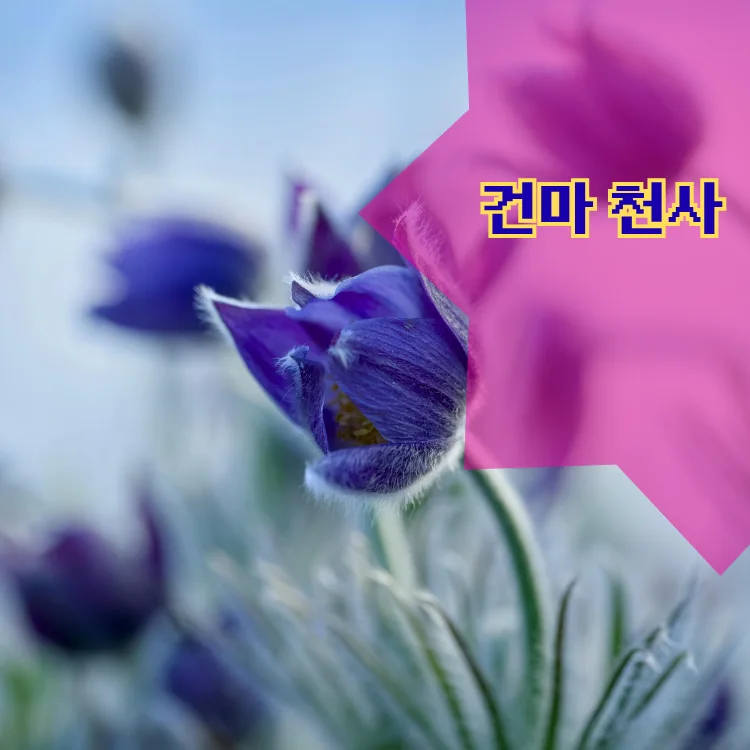 서대문구 출장마사지 동별 안내 대표 이미지