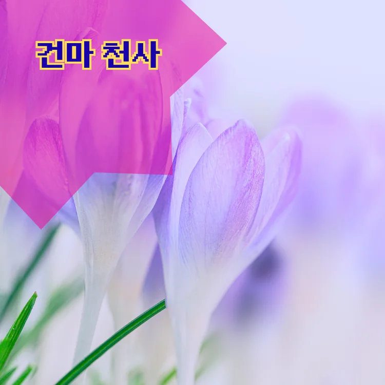 성현동 출장마사지 지역 안내 대표 이미지
