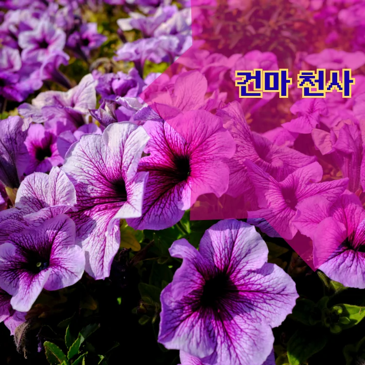 진관동 출장마사지 지역 안내 대표 이미지