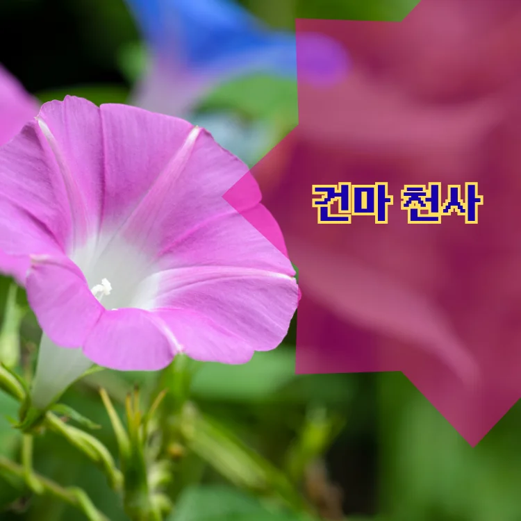 서림동 출장마사지 지역 안내 대표 이미지