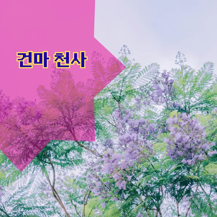 응암3동 출장마사지 지역 안내 대표 이미지