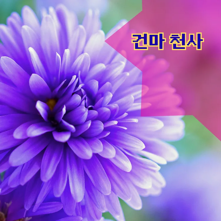 연희동 출장마사지 지역 안내 대표 이미지