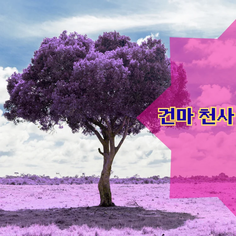 안암동 출장마사지 지역 안내 대표 이미지
