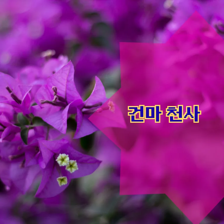 돈암1동 출장마사지 지역 안내 대표 이미지