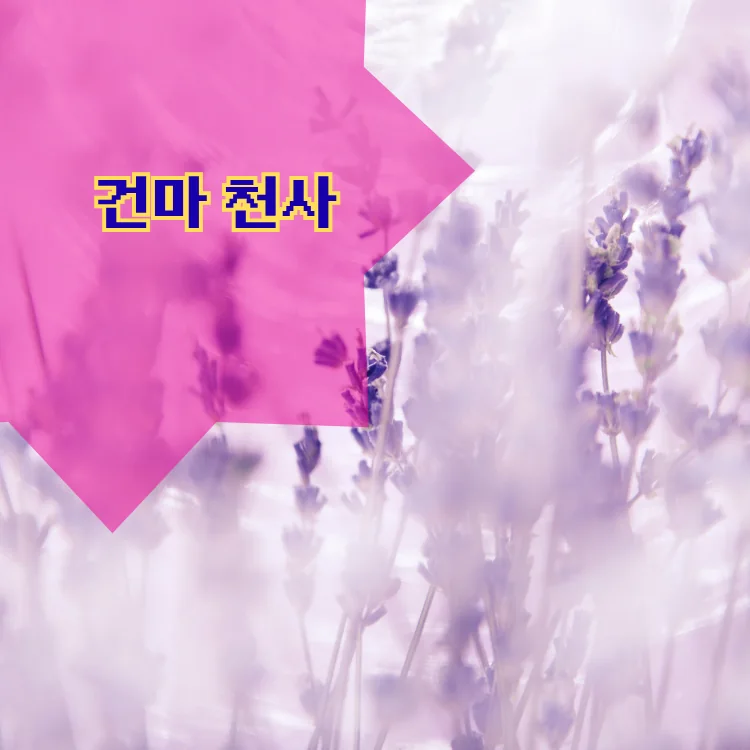 자양2동 출장마사지 지역 안내 대표 이미지
