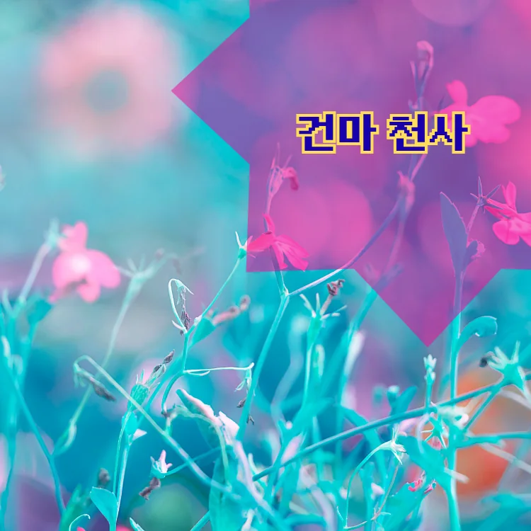 강북구 출장마사지 동별 안내 대표 이미지