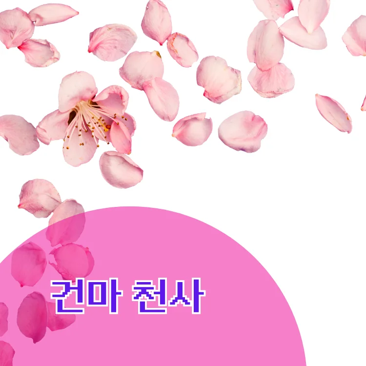 미아역 출장마사지 지역 안내 대표 이미지