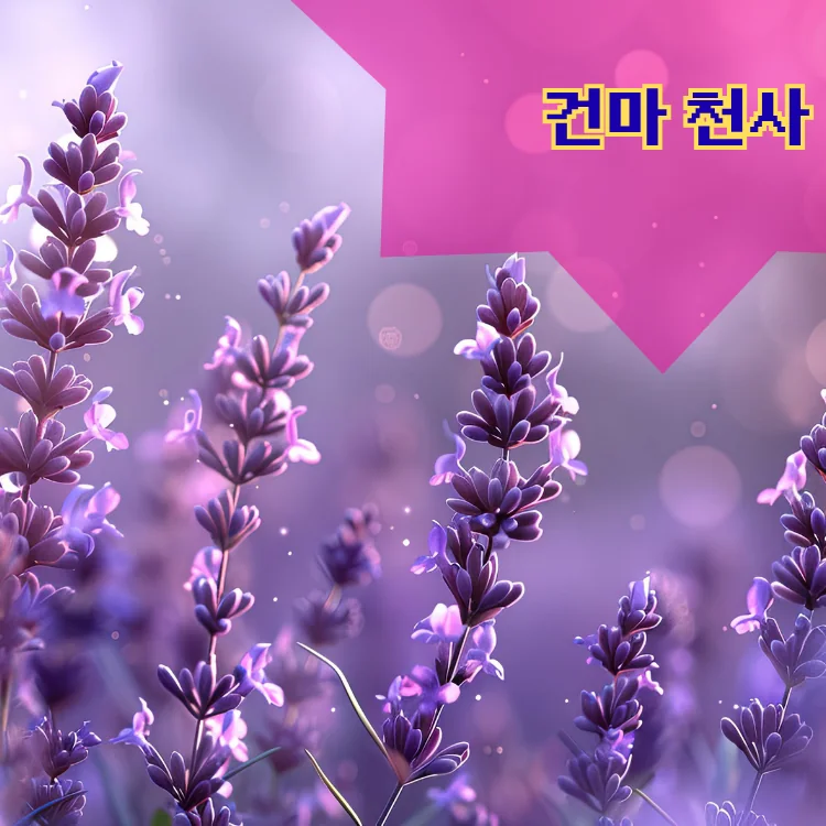 삼양동 출장마사지 지역 안내 대표 이미지