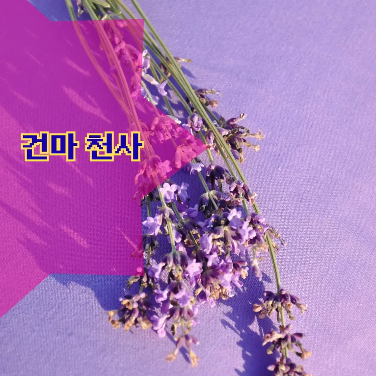 무악동 출장마사지 지역 안내 대표 이미지
