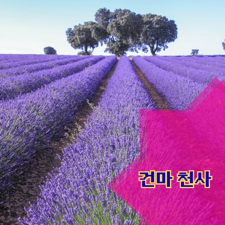 창신3동 출장마사지 지역 안내 대표 이미지