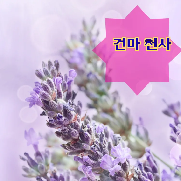 혜화동 출장마사지 지역 안내 대표 이미지