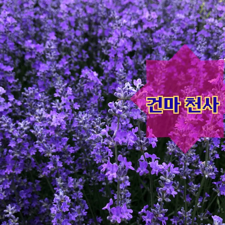 성동구 출장마사지 동별 안내 대표 이미지