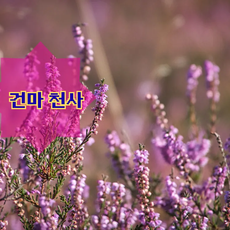 응봉동 출장마사지 지역 안내 대표 이미지