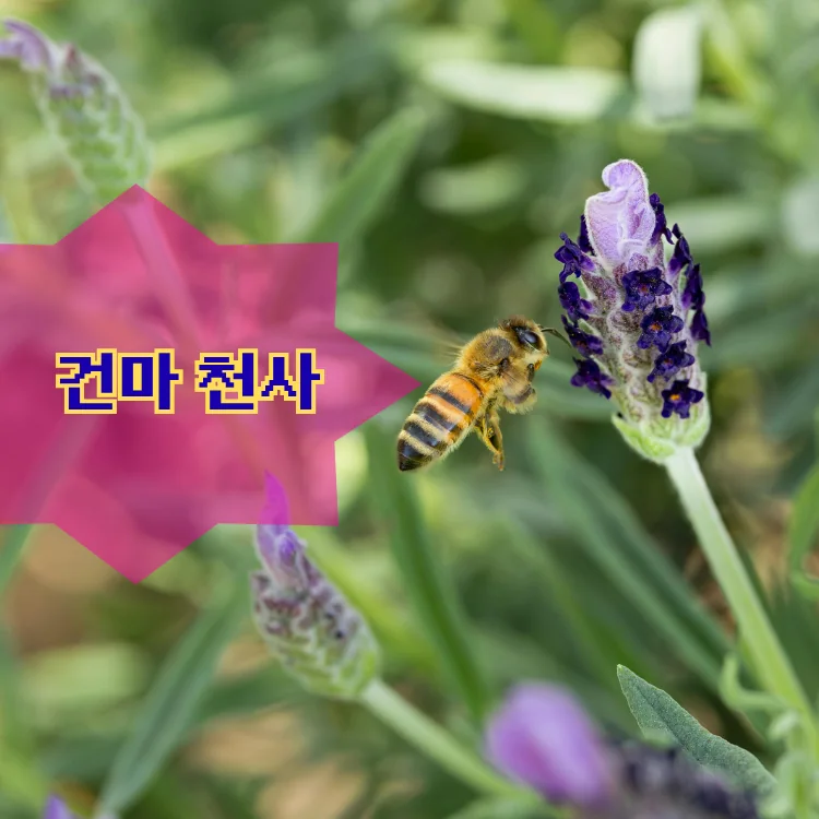 교남동 출장마사지 지역 안내 대표 이미지