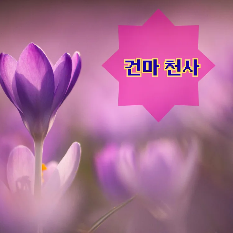 천호3동 출장마사지 지역 안내 대표 이미지