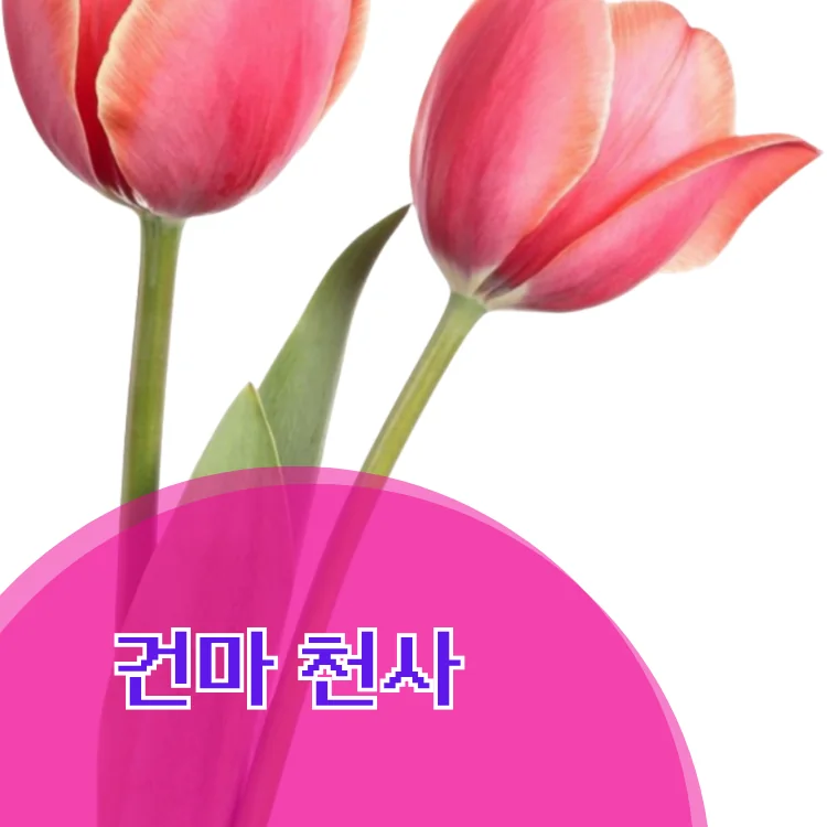 성수2가3동 출장마사지 지역 안내 대표 이미지