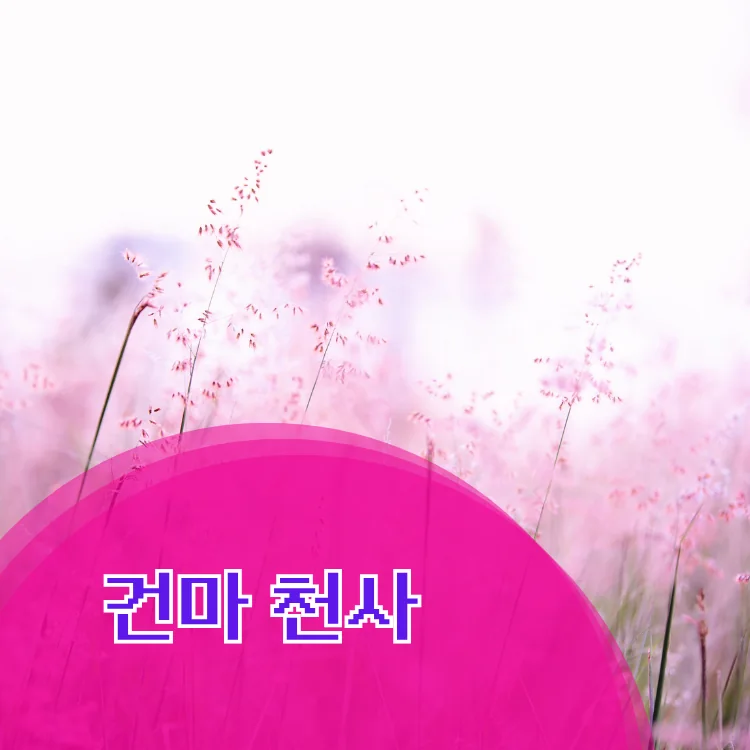 청담동 출장마사지 지역 안내 대표 이미지