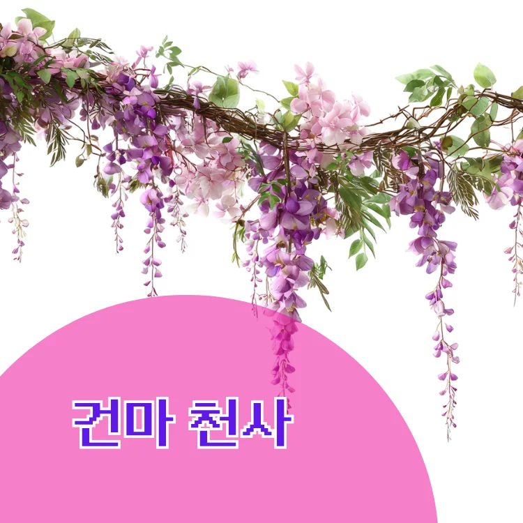 묵2동 출장마사지 지역 안내 대표 이미지