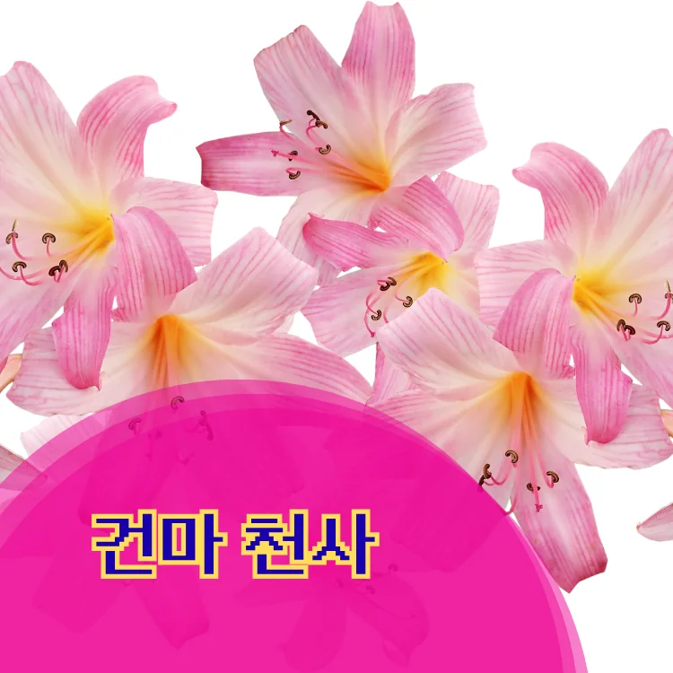 면목2동 출장마사지 지역 안내 대표 이미지