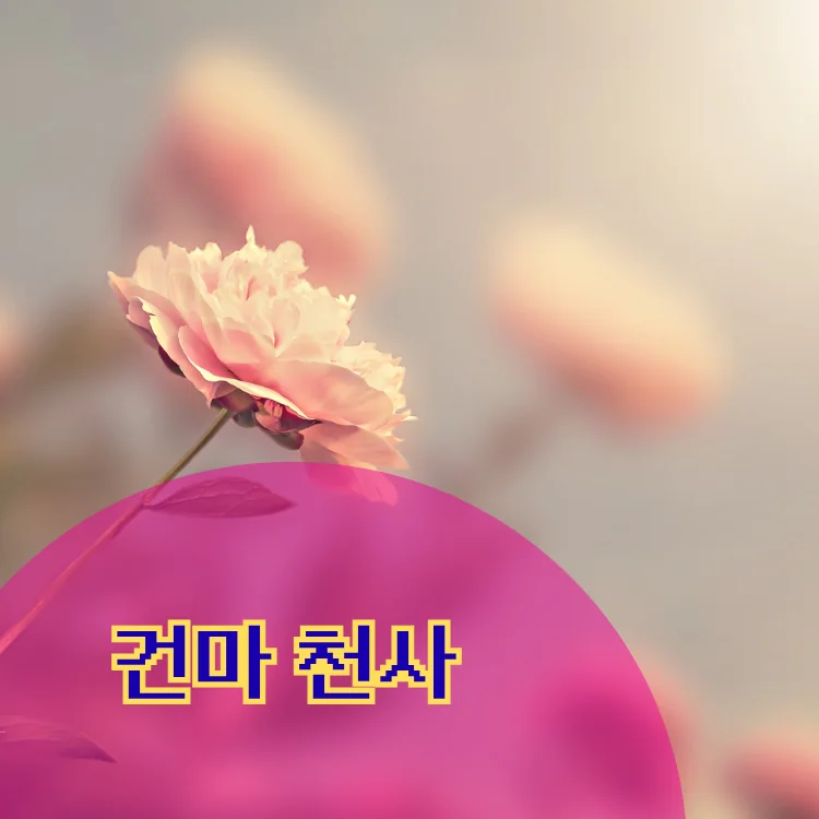 상봉2동 출장마사지 지역 안내 대표 이미지