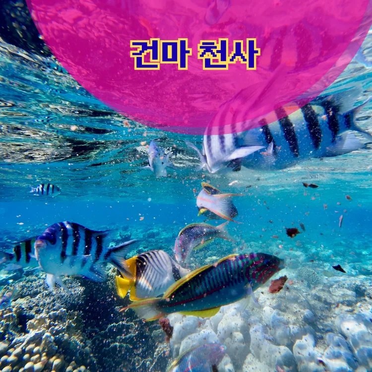 망원1동 출장마사지 지역 안내 대표 이미지