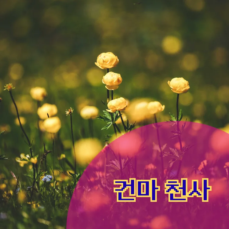 상암동 출장마사지 지역 안내 대표 이미지